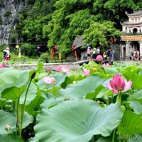 Ninh Binh Tours: Hoa Lu - Tam Coc - Bich Đong