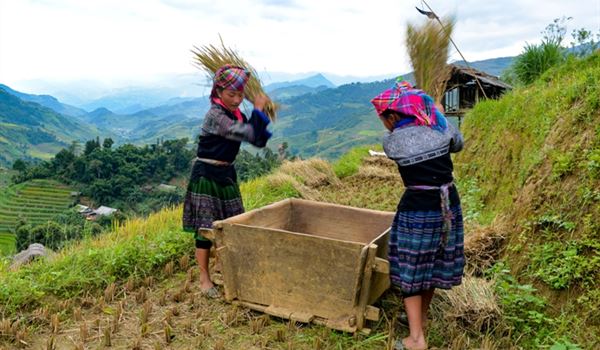 Sapa Adventure From Waterfalls To Villages 3 days 4 nights